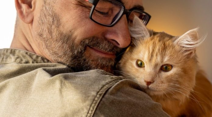 A macskatartás pozitív hatásai